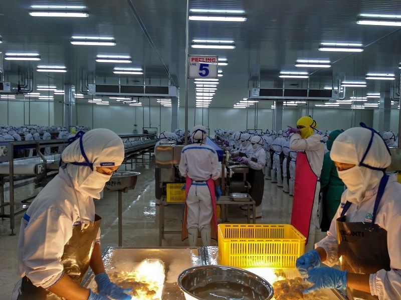 Fasilitas Operasional Dua Putra Utama Makmur Tbk Terbakar, Pemulihan Ditargetkan Setengah Tahun