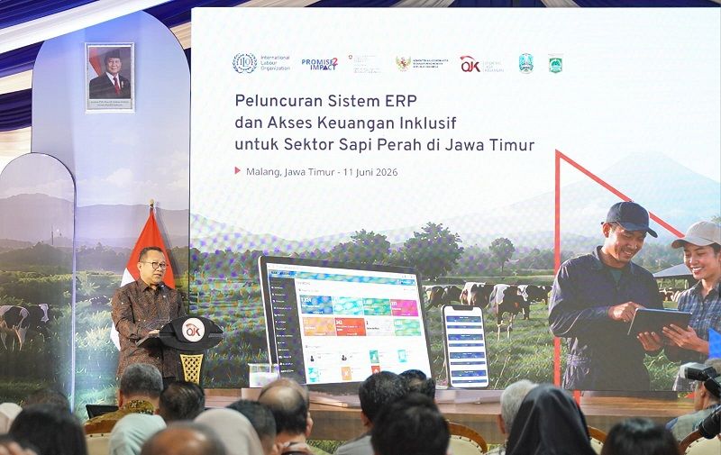 Didukung Swiss dan ILO, OJK Luncurkan Sistem Digital yang Bisa Buka Akses Kredit Bagi Ribuan Peternak Sapi Perah